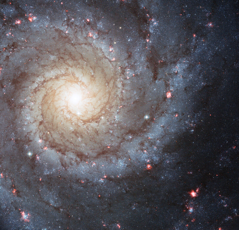 Spiral Galaxy — White, Cosmic, Photograph, Stars, Nebulae, Dust