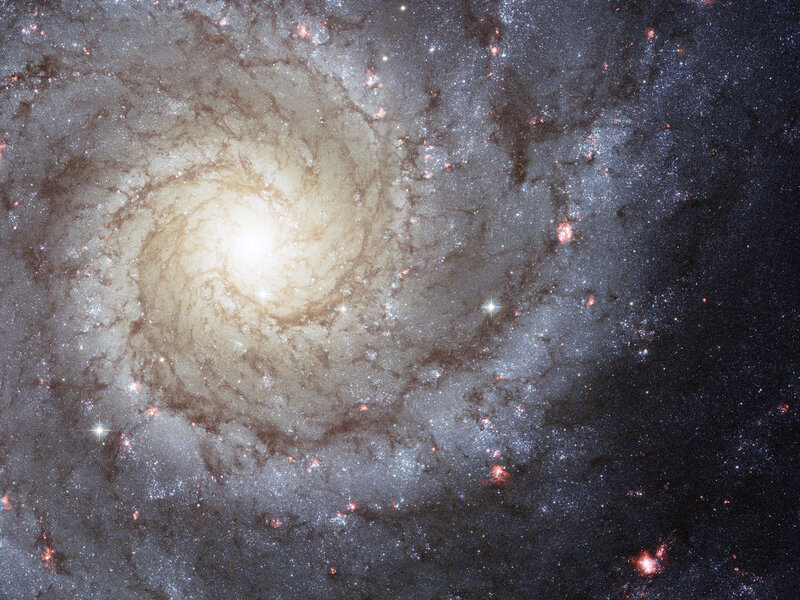 Spiral Galaxy — White, Cosmic, Photograph, Stars