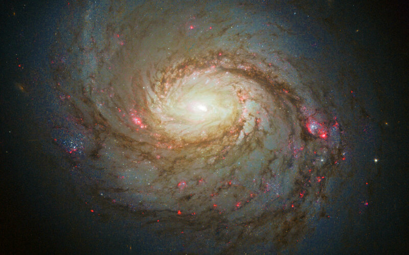 Spiral Galaxy — White, Cosmic, Photograph