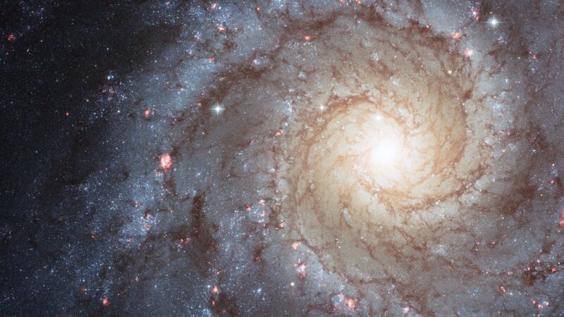 Spiral Galaxy — White, Nebula