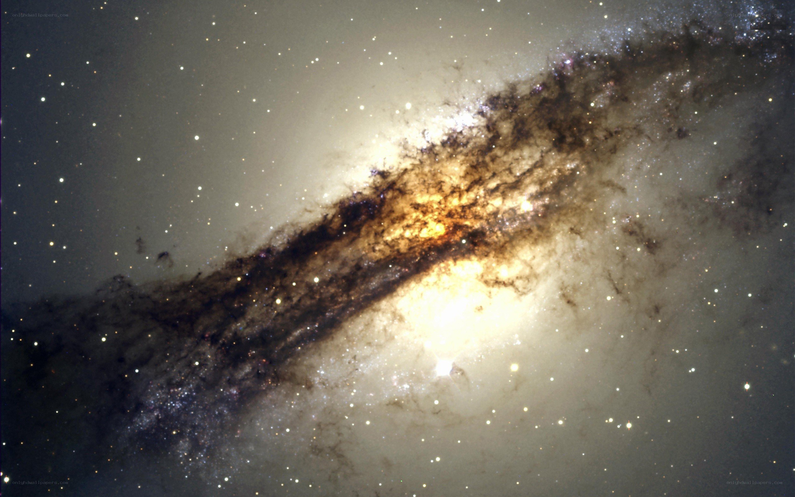 Spiral galaxy with dust lanes