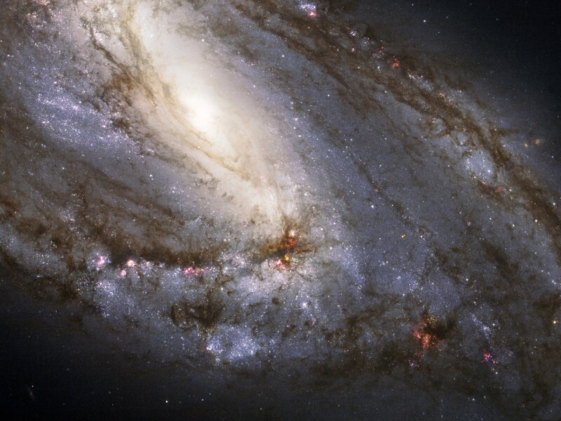 Spiral galaxy with star-forming regions
