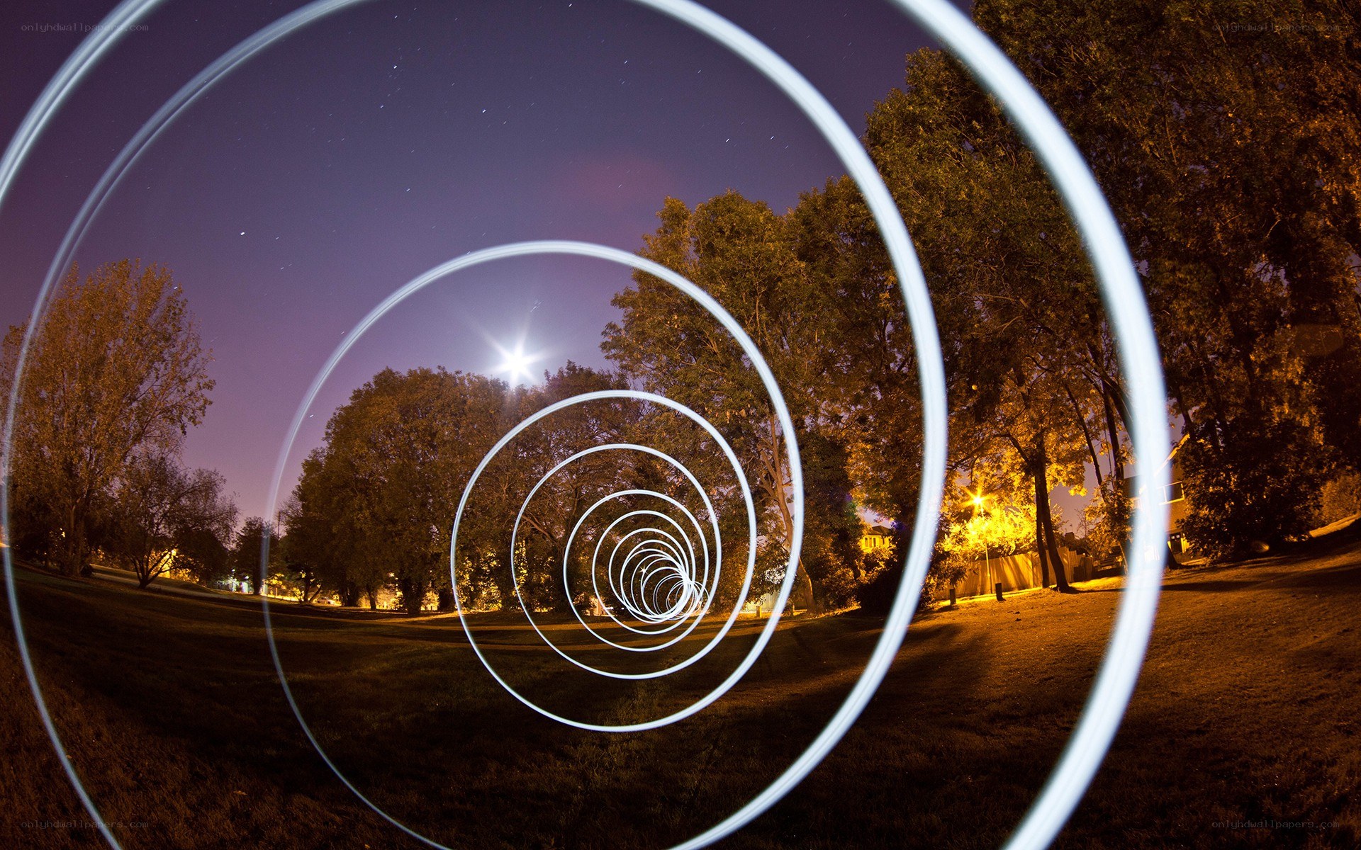 Spiral light trails in a park