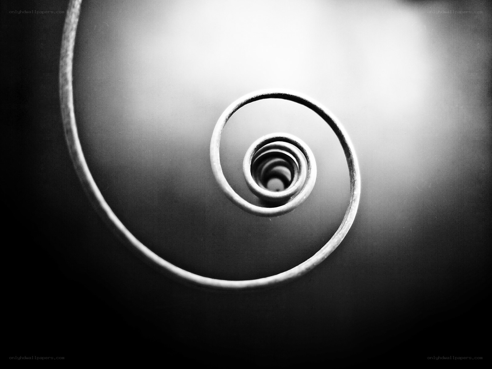 Spiral metal coil