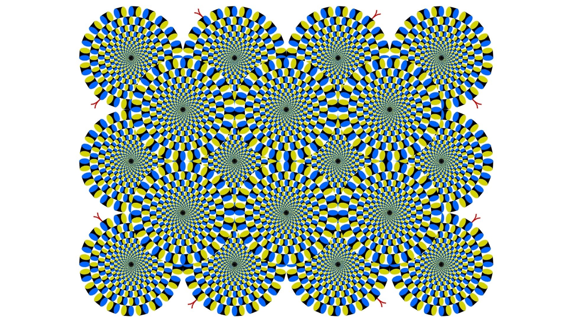 spiral optical illusion pattern