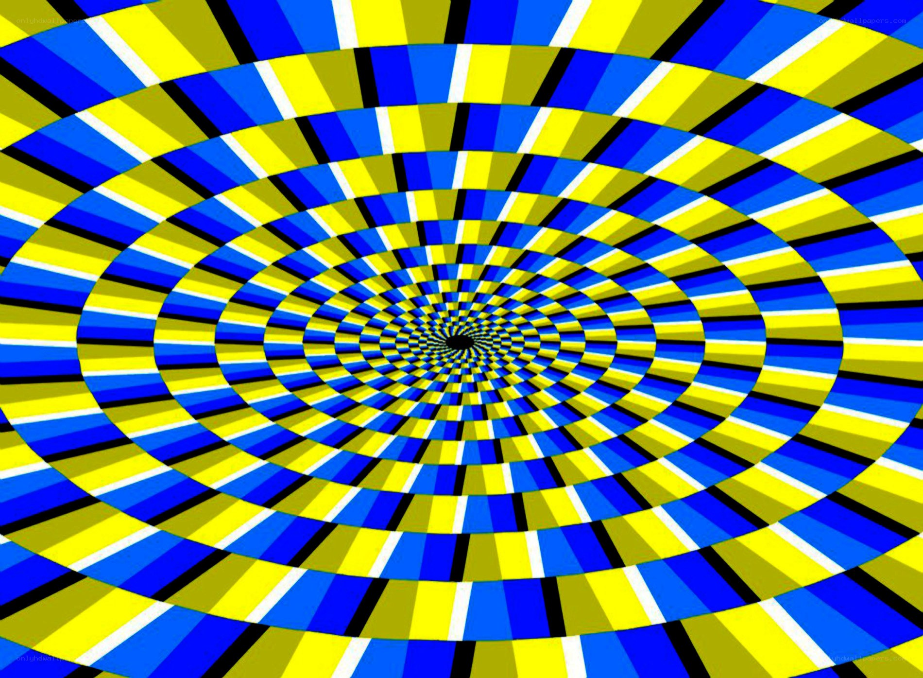 spiral optical illusion