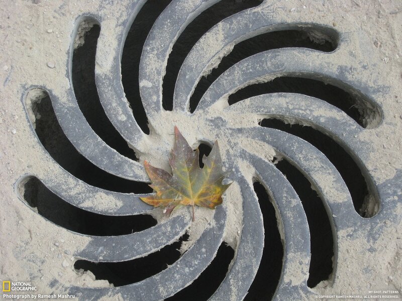 Spiral pattern with leaf
