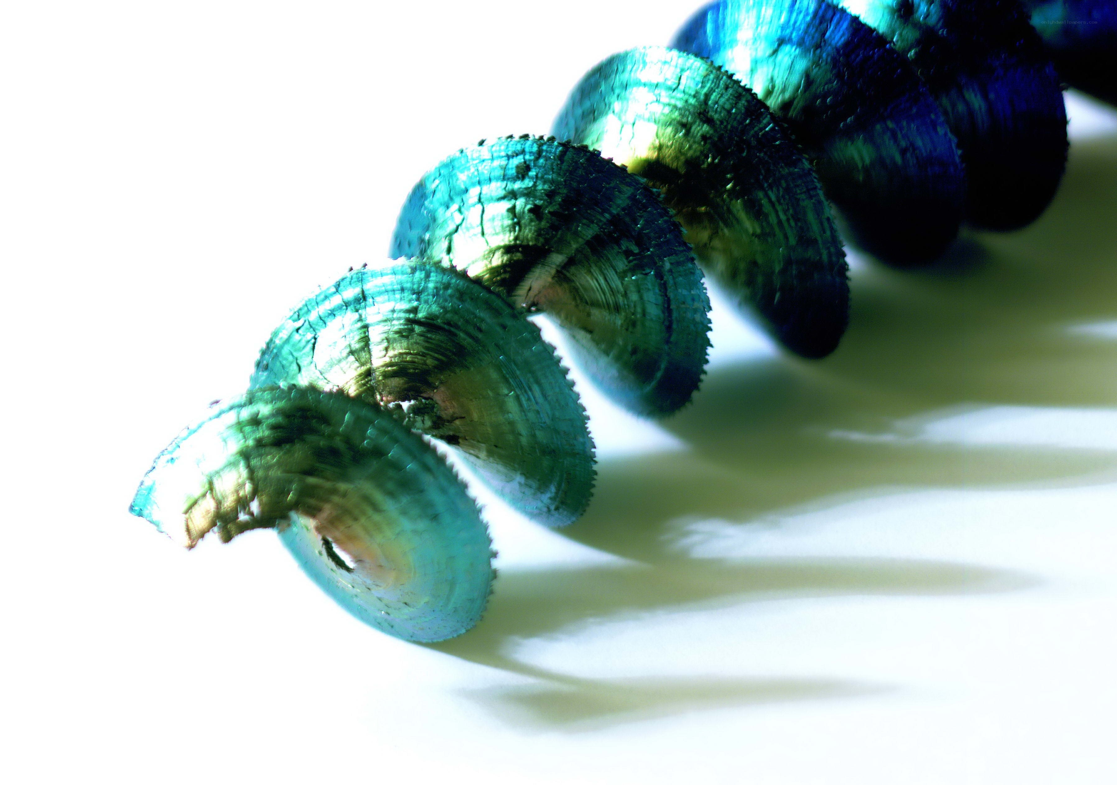 Spiral shell pattern