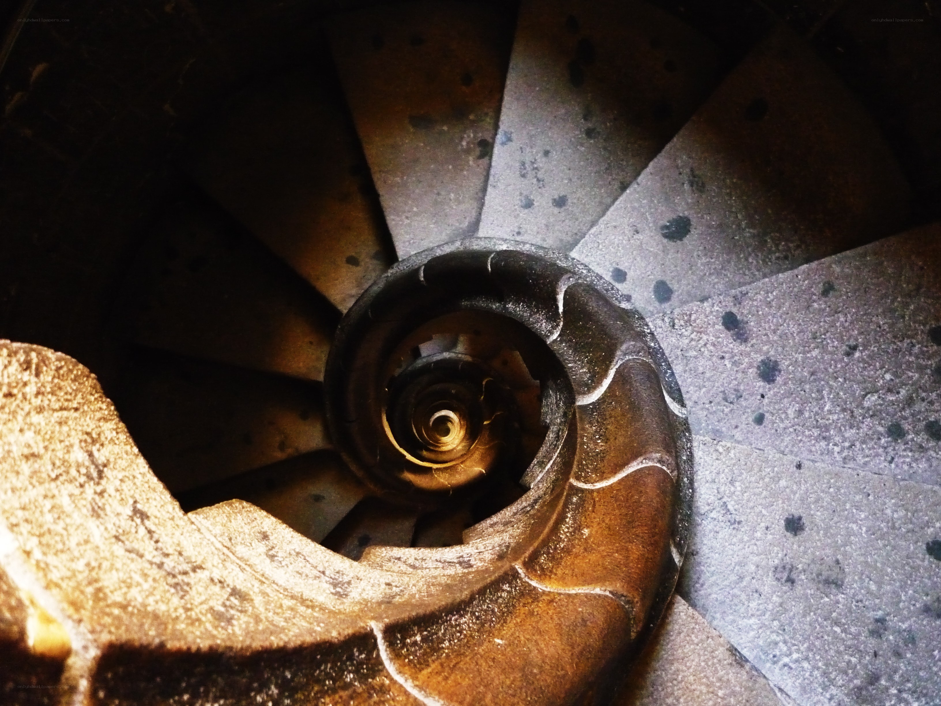 spiral staircase from above