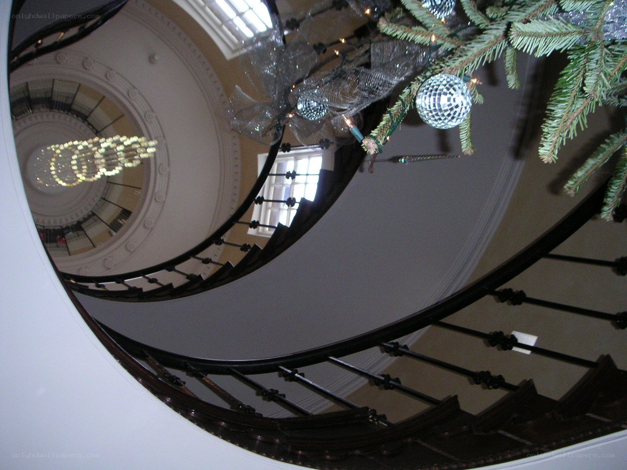 Spiral staircase with Christmas tree