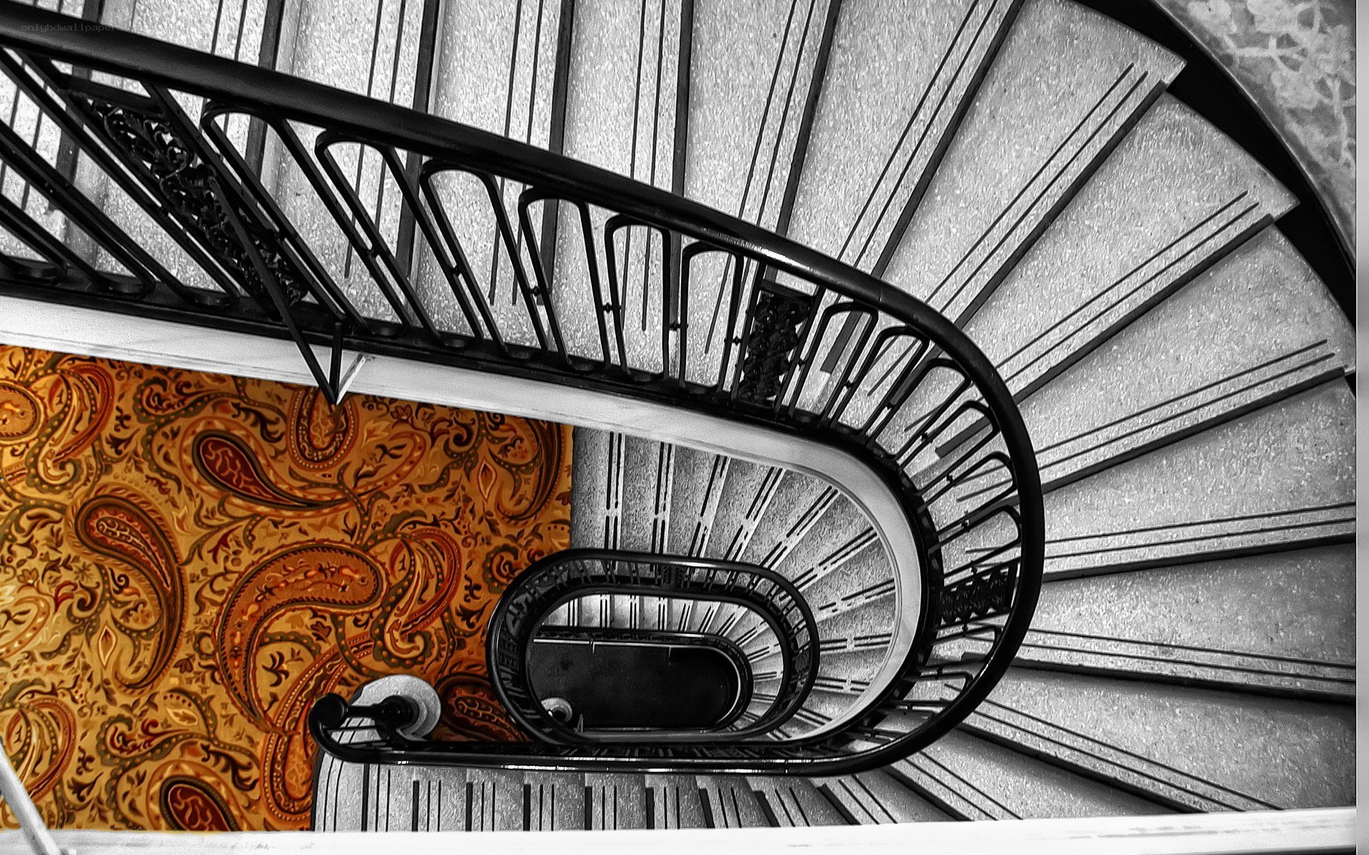 spiral staircase with paisley wall