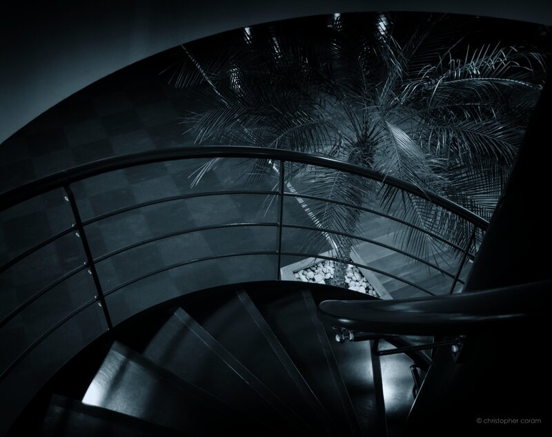 Spiral staircase with palm tree