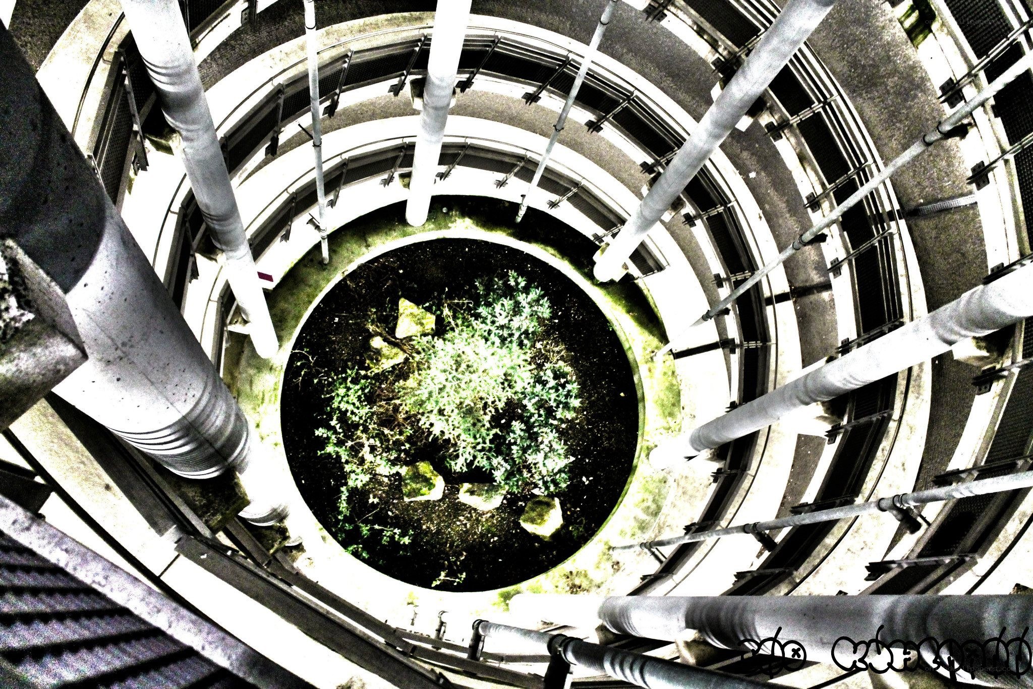 spiral staircase with plant