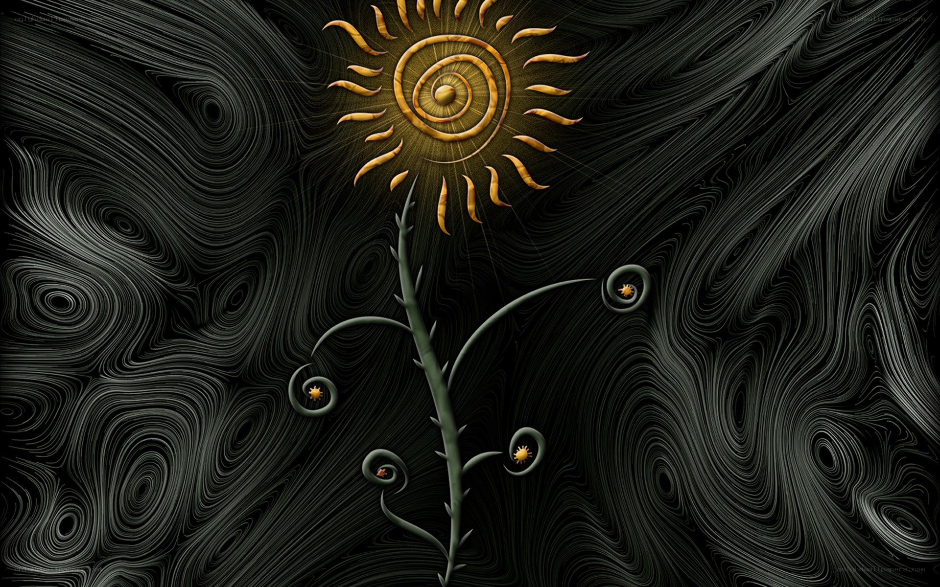 Spiral sun and plant