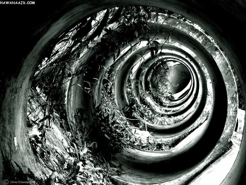 Spiral tunnel with overgrown plants