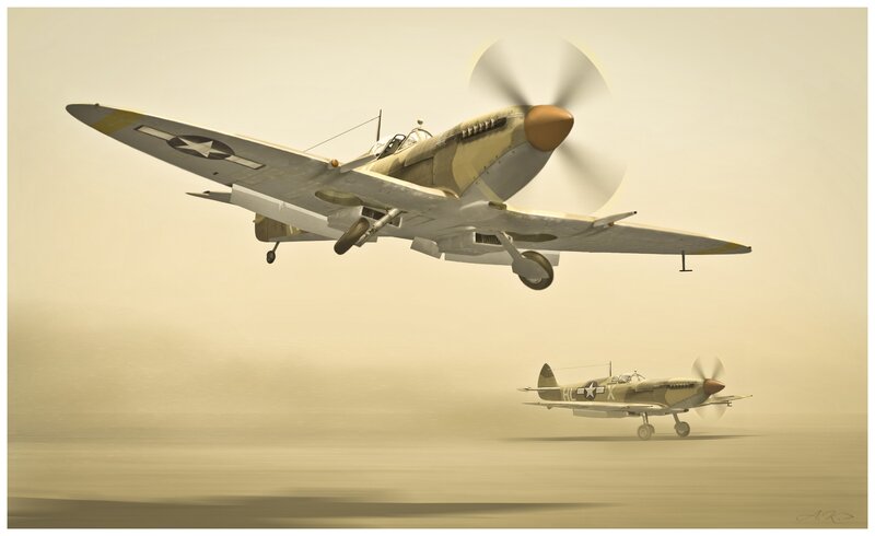 Spitfire aircraft in flight
