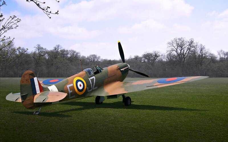Spitfire Aircraft on Grass