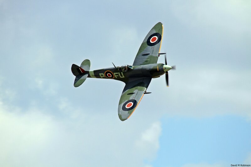 Spitfire Airplane in Flight — Green