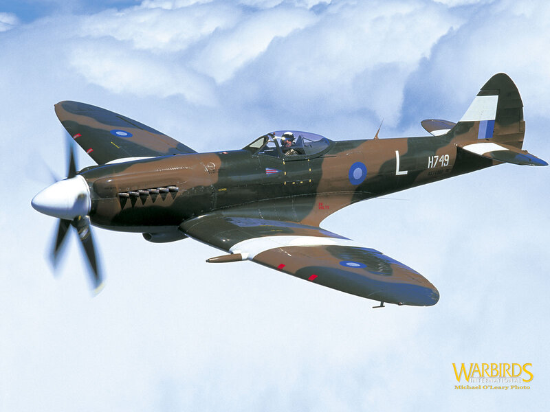 Spitfire Fighter Plane — Brown, Dynamic