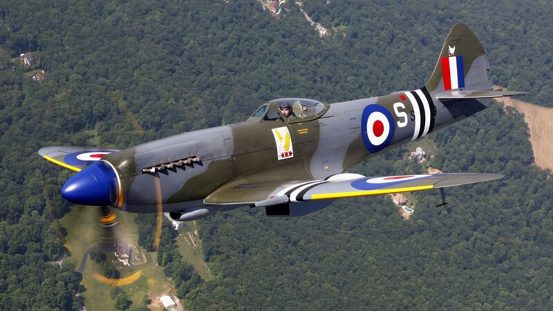 Spitfire Fighter Plane — Green, Dynamic, Afternoon, Photograph, Pilot, Forest