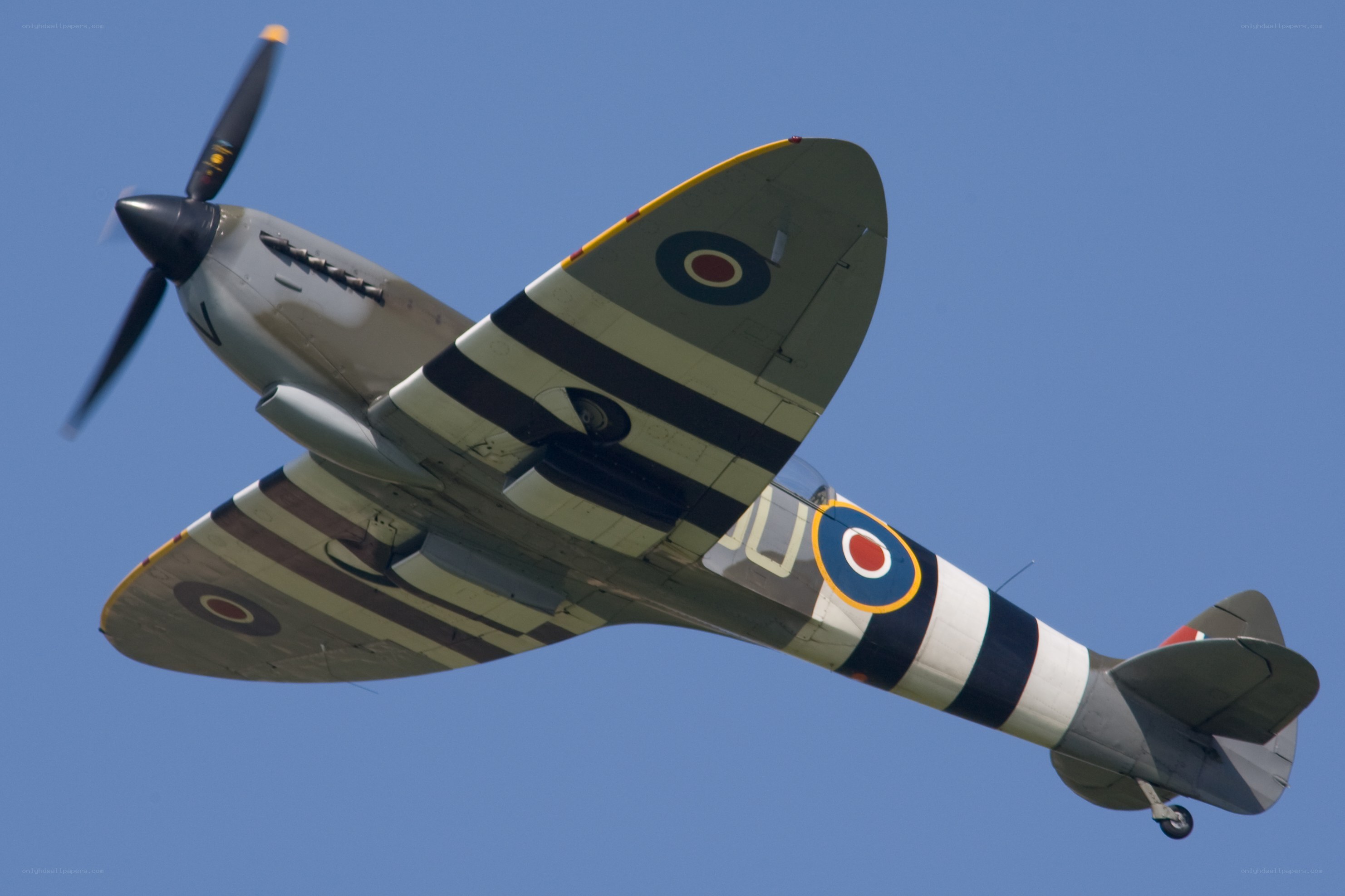 Spitfire in flight