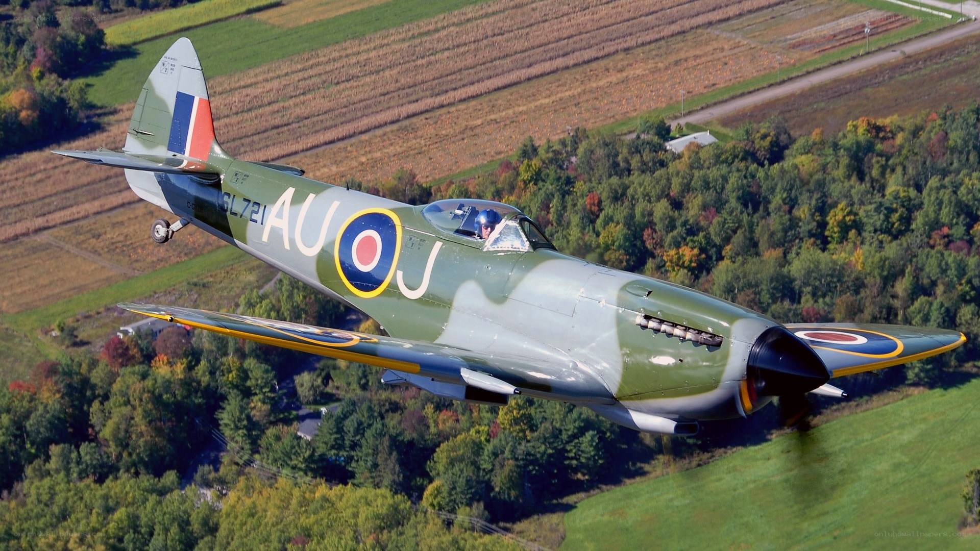 Spitfire in flight over farmland