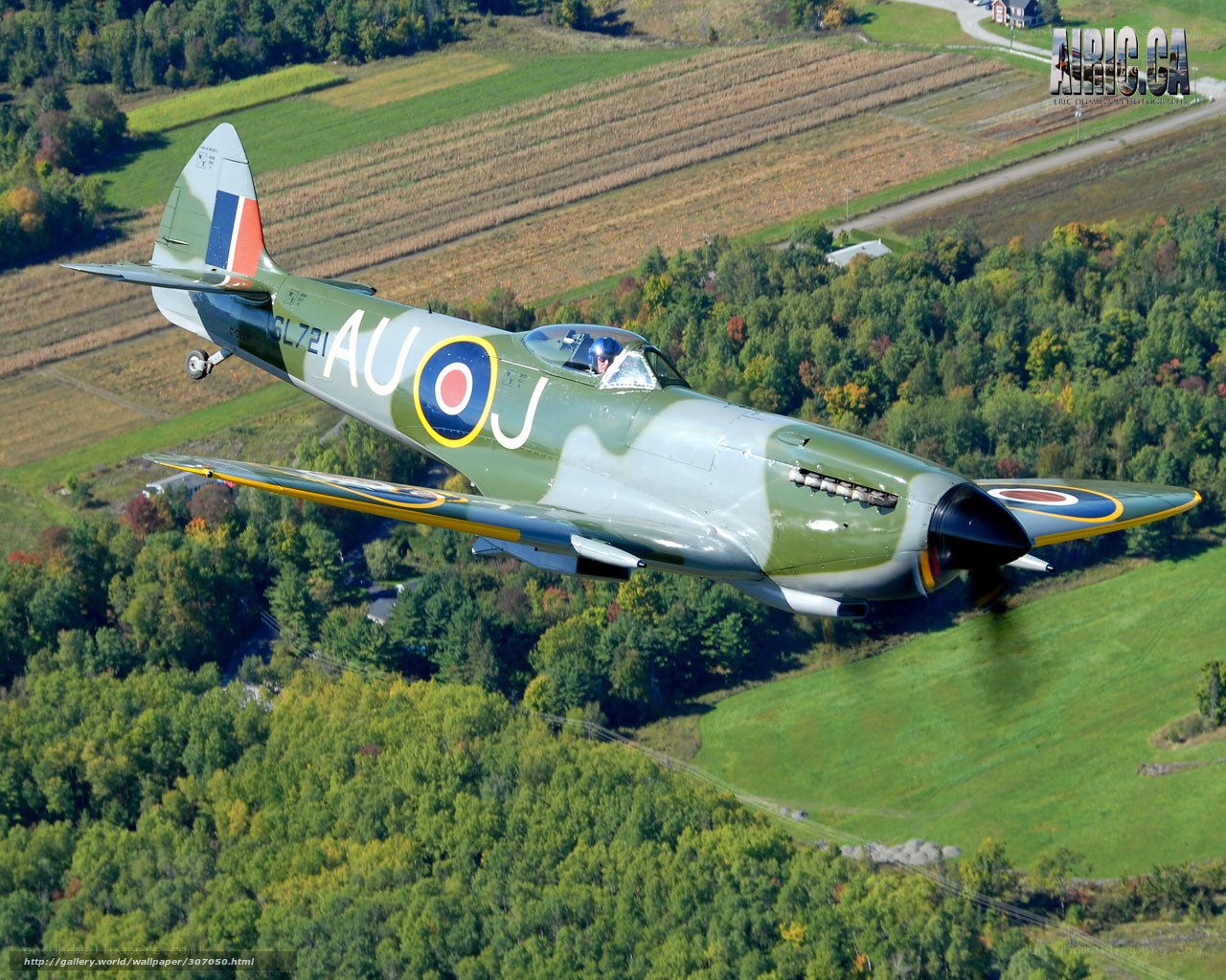 Spitfire in flight over farmland