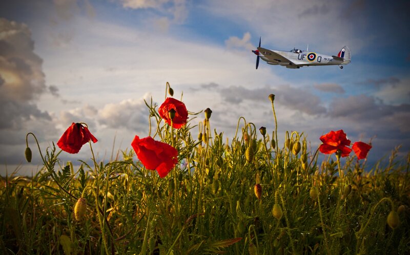 Spitfire Plane over Poppies