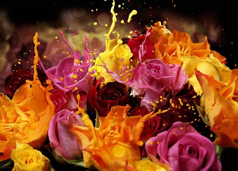 Splashing Roses