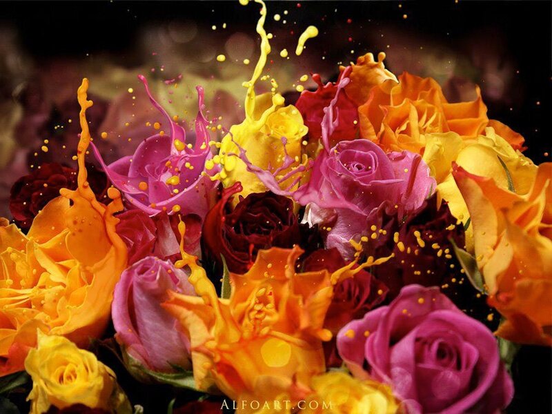 Splashing Roses — Yellow, Dynamic