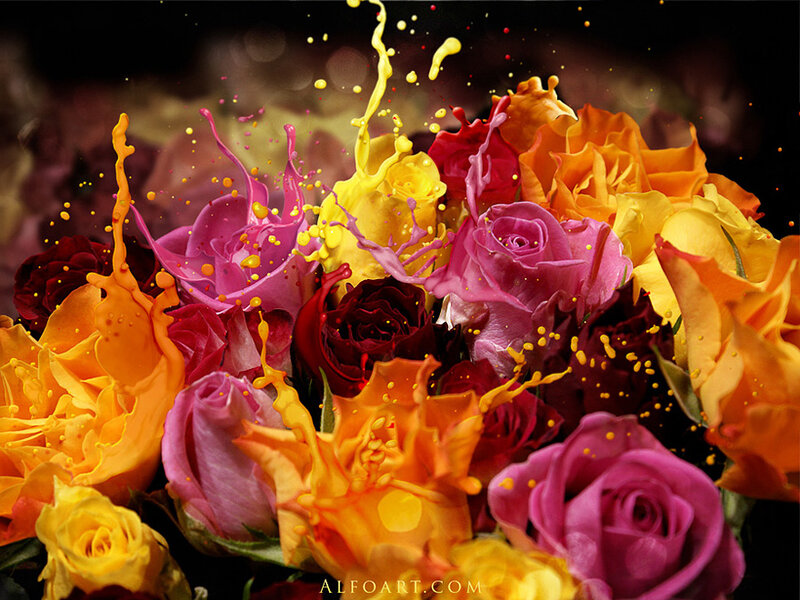 Splashing Roses — Yellow