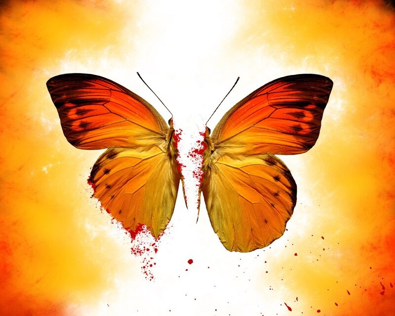 Split Butterfly
