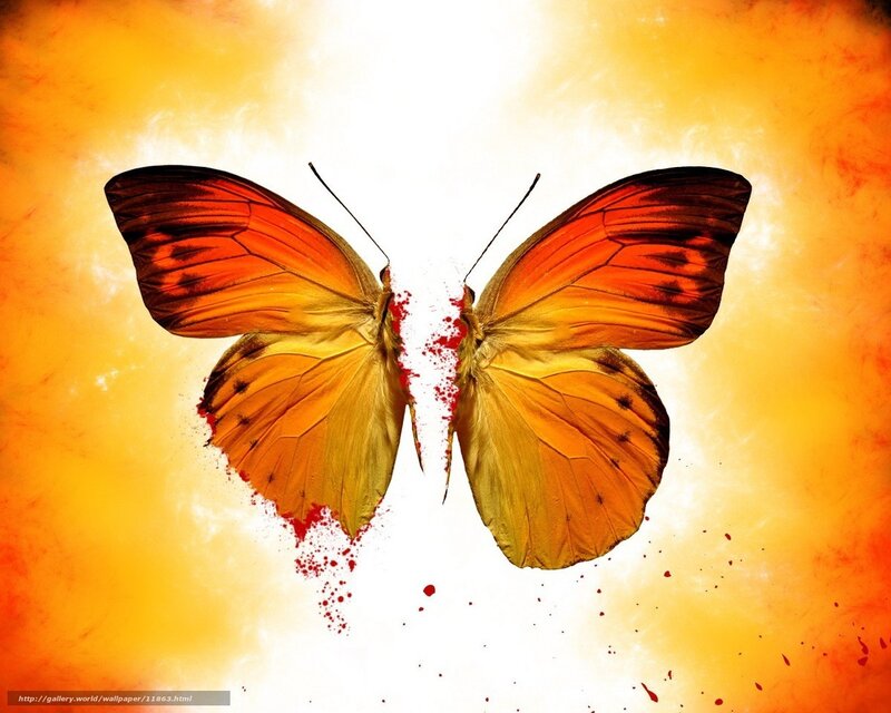 Split butterfly with blood