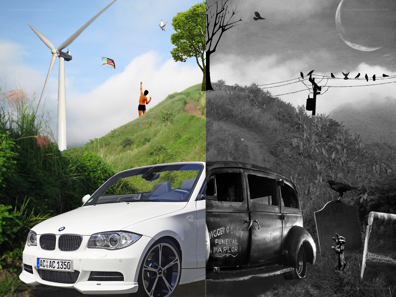 Split image of life and death