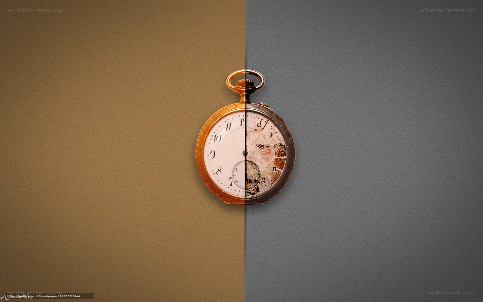 Split pocket watch