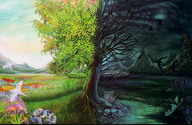 Split Tree Landscape