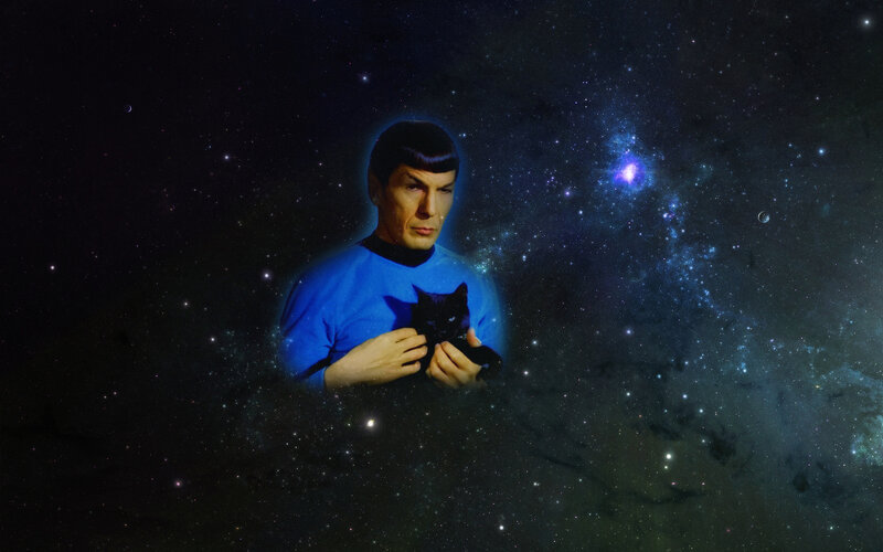 Spock Holding a Cat