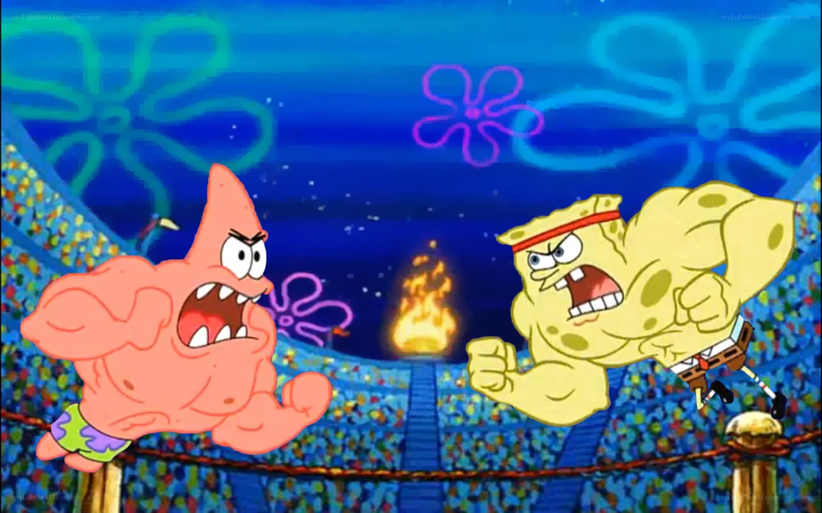 SpongeBob and Patrick in a fight