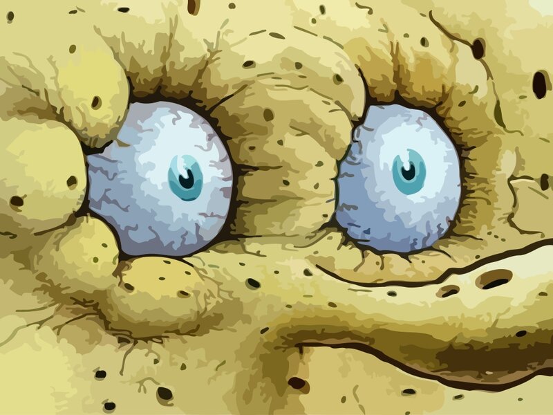spongebob eyes close-up