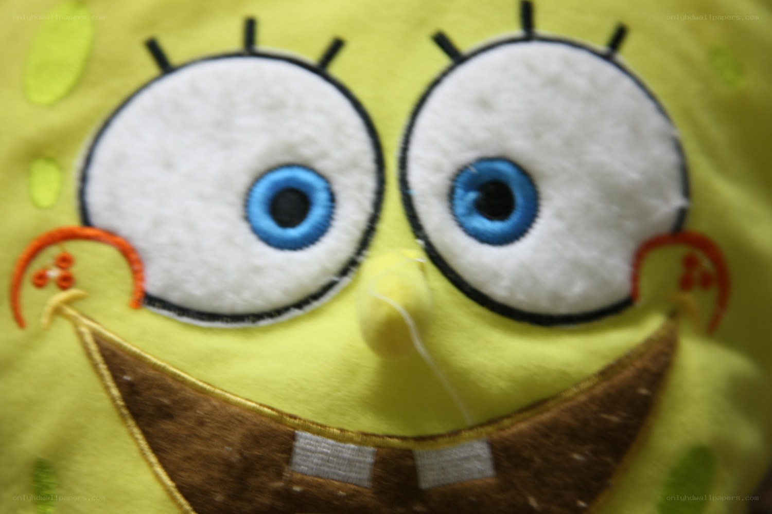 SpongeBob plush face close-up
