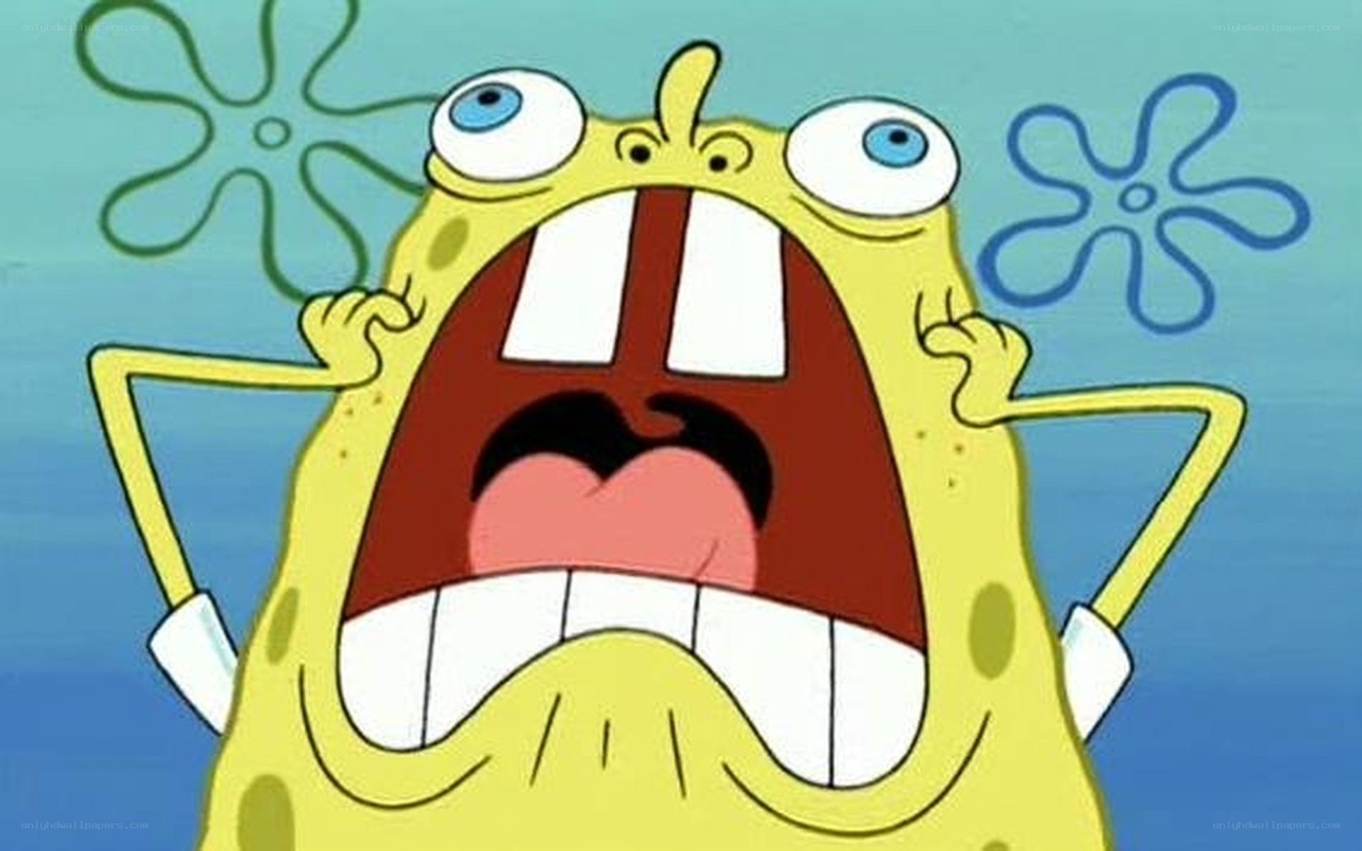 SpongeBob screaming in shock
