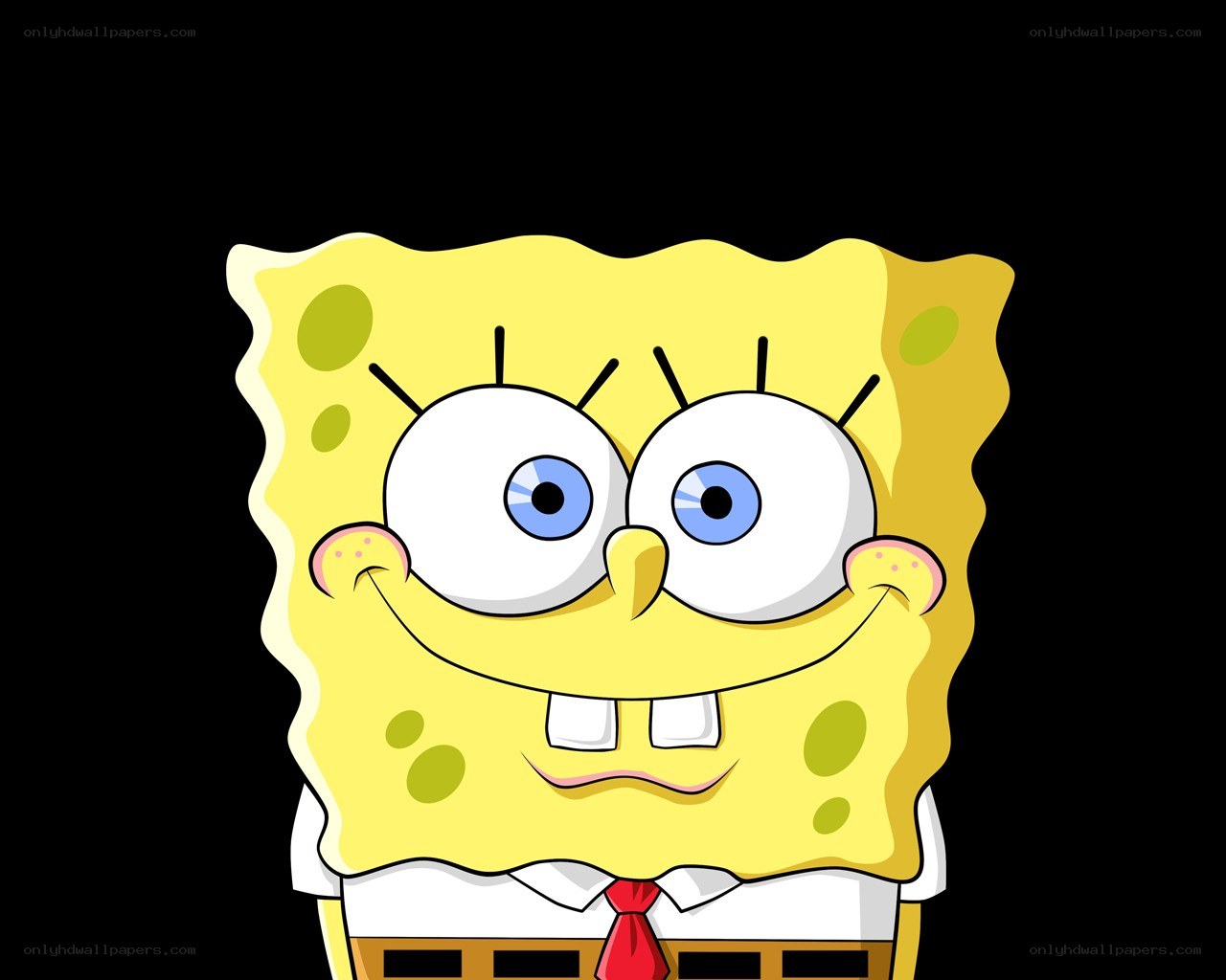 SpongeBob SquarePants character