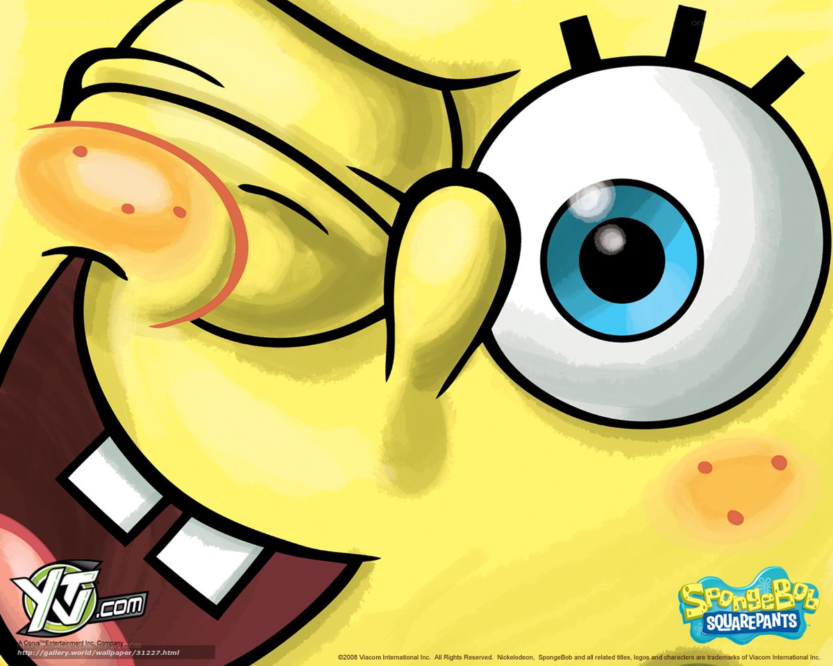 SpongeBob SquarePants close-up