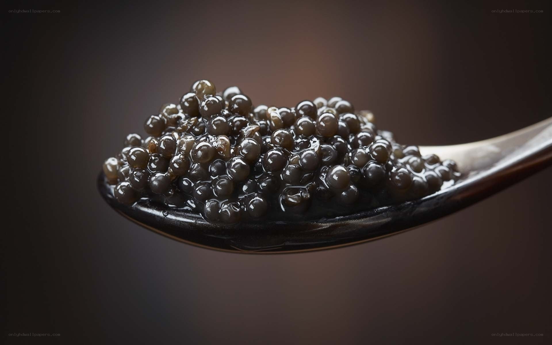 Spoonful of black caviar