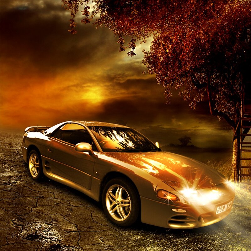 sports car at sunset under tree