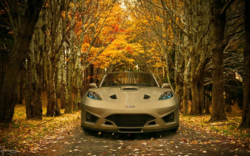 Sports car in autumn forest