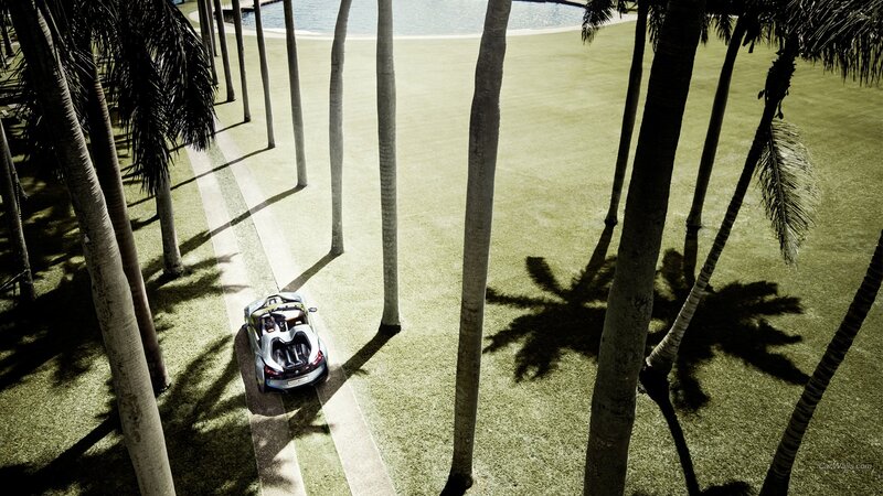 Sports car on a palm-lined path