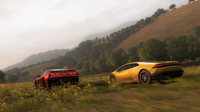 Sports Cars in Field