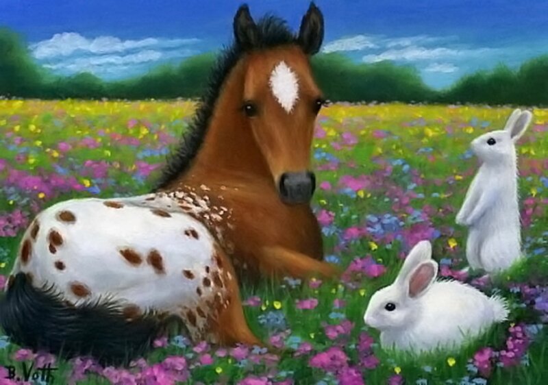 Spotted Foal in Field