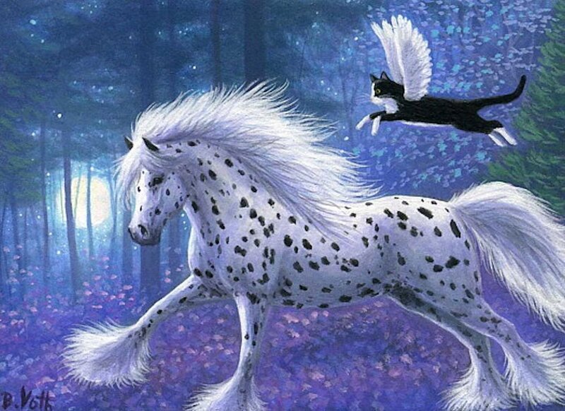 Spotted Horse and Flying Cat